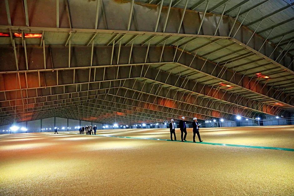 全球濒临50年来最严重的粮食危机，中国有何“粮策”？