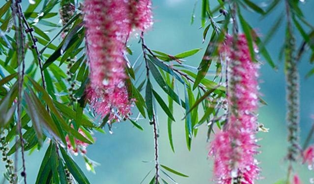 怎么挽回铁心分手的女朋友,铁心分手的女人如何挽回