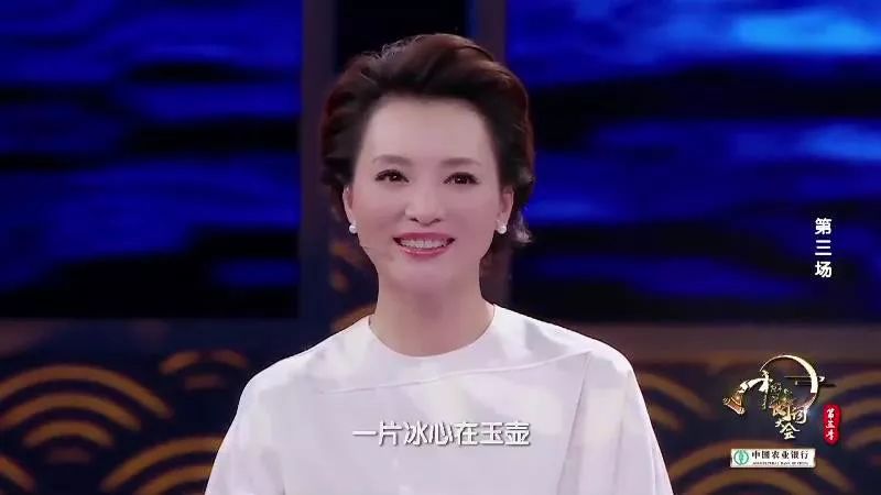 董卿在诗词大会上十场唯美开场词,诗词大会第四季董卿开场白合集