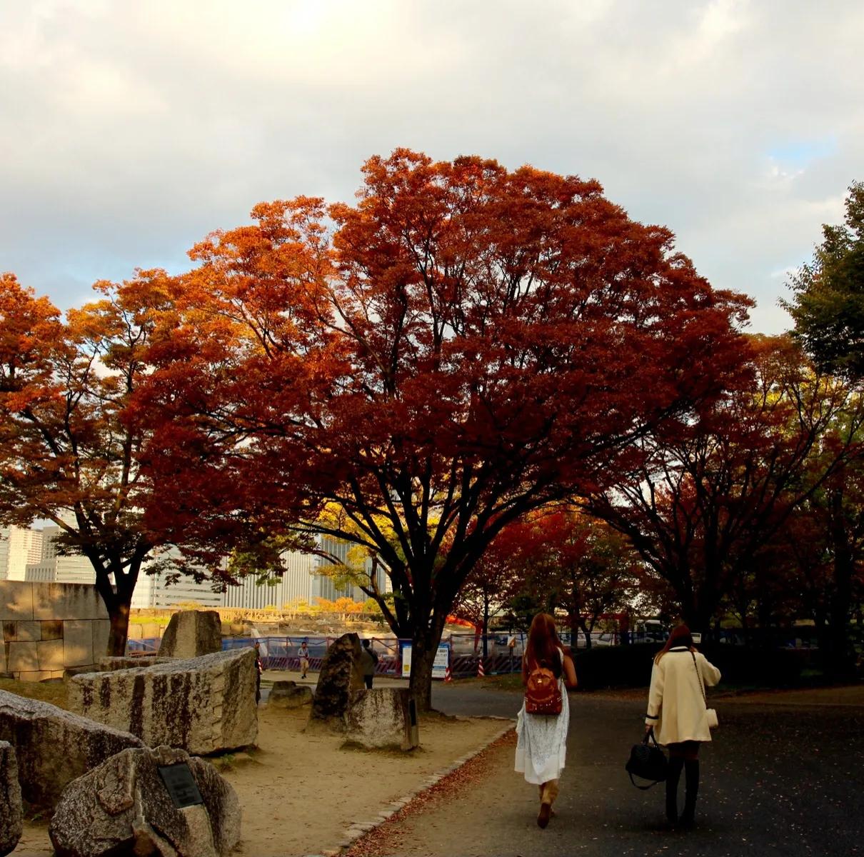 日本大阪自由行详细攻略,日本大阪自由行攻略app