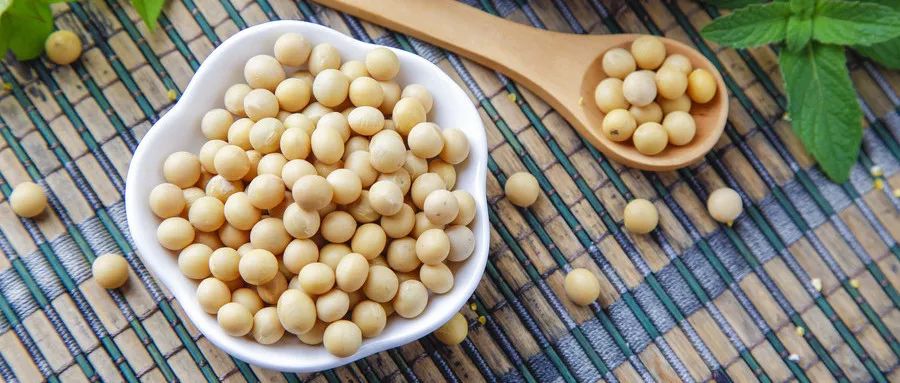 癌症病人的饮食处方,癌症患者食谱一览表