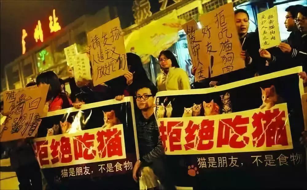 伊斯兰教为什么不饮食猪肉,伊斯兰为什么不饮食猪肉