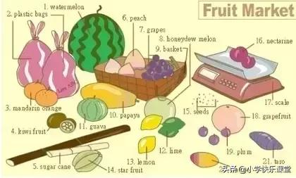 34张图让孩子记住英语中所有生活用词!老师惊呼,太值了