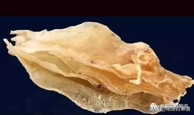 涨知识系列详解,涨知识简短