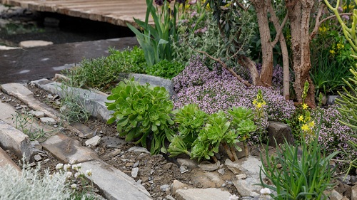 切尔西花展举办,2020年切尔西花展抢先看