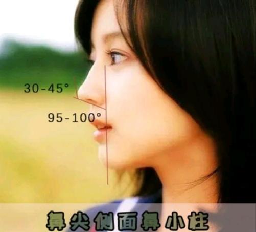 判断最好看的五官,判断鼻子类型