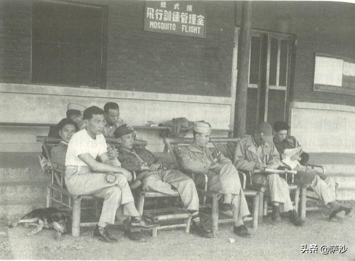 折中国战斗机,折翼战鹰战斗机