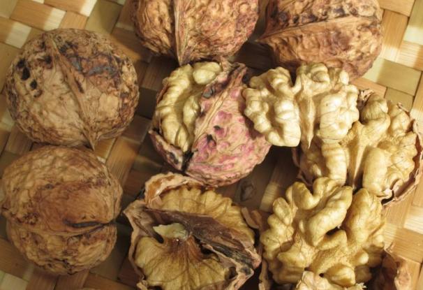 水果皮厨余垃圾是怎么变成肥料的,香蕉皮用来养花的几大作用