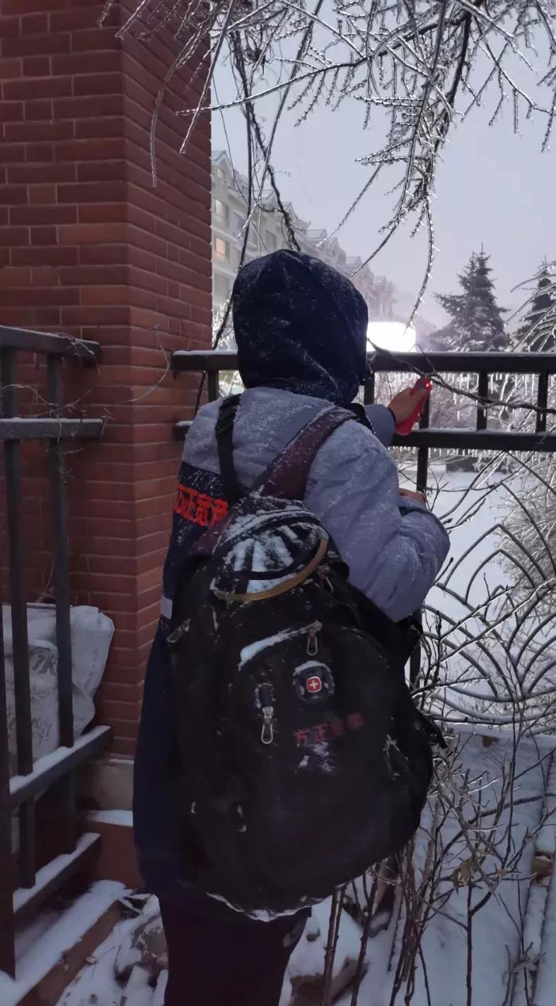 迎风斗雪保平安,迎风斗雪战严寒