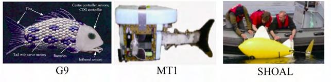 鱼为什么会游泳动画片,鱼为什么会游泳解说