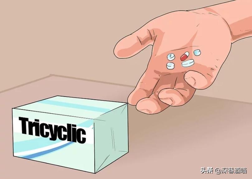 猫咪原住民和新猫如何快速相处,原宿猫如何接收新猫