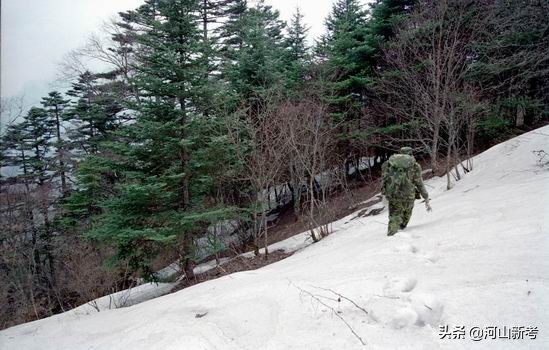 寻找野人的张金星现在如何,张金星神农架野人