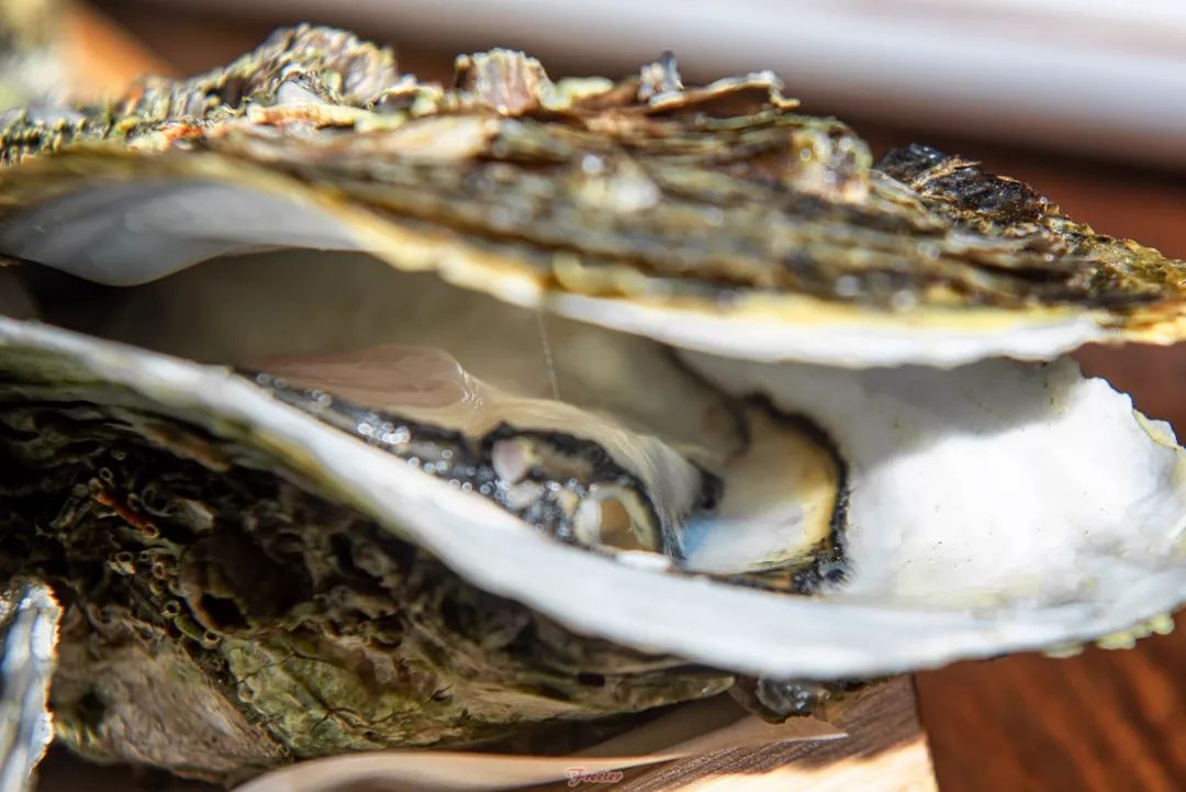 海口私房菜有什么好吃的,海口酒吧吃的