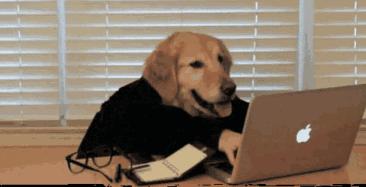 番禺万博越秀和樾府大平层,番禺万博越秀樾府2018房价