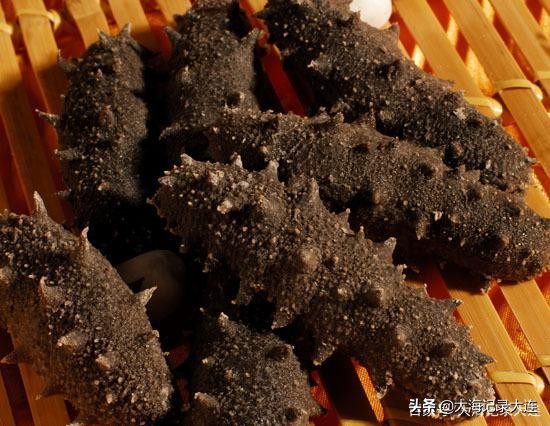 大连为什么是东北中心城市,大连是东北房价最高城市吗