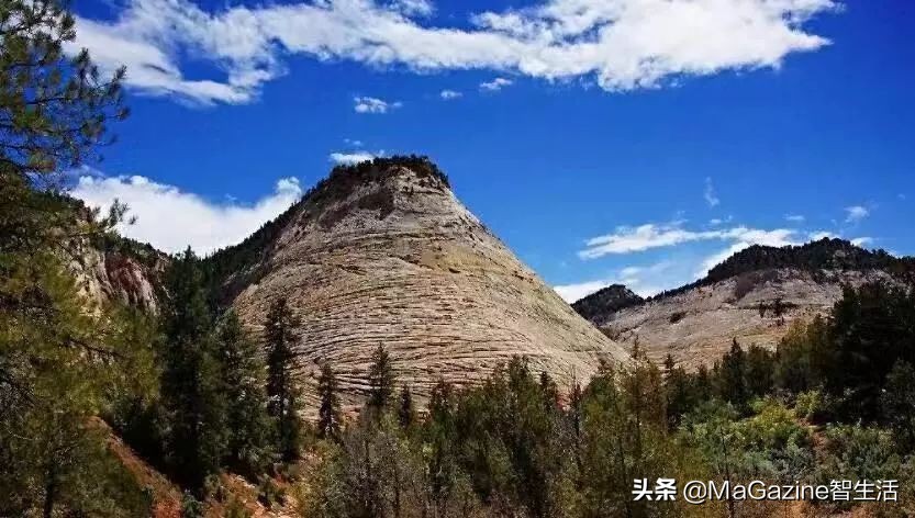 长江商学院同学聚会邀请函,长江商学院校友会活动主题