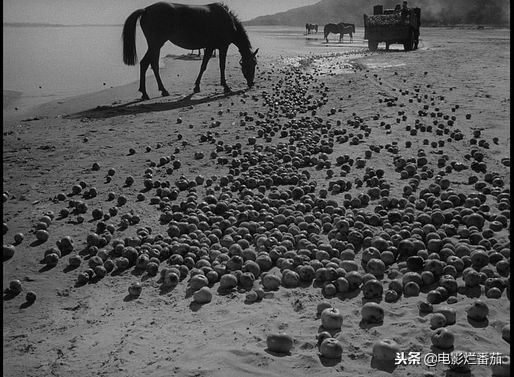 有关地球最后的夜晚的电影,地球最后的夜晚全片