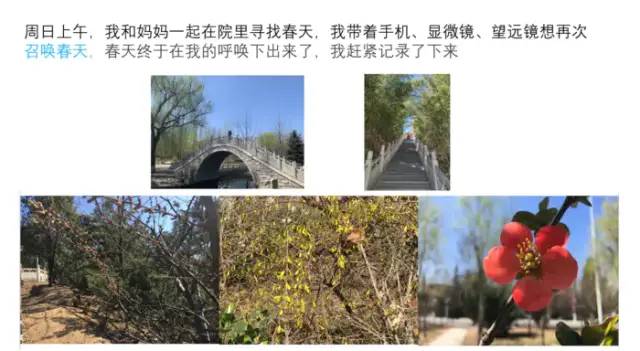 期末庆典〡诗酒趁年华:读写起来,讲玩起来,串烧起来,演唱起来