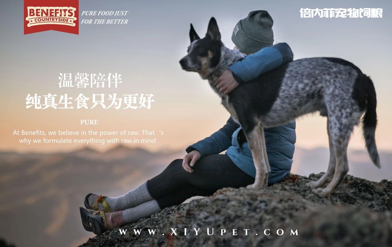 狗狗绿便不用怕，一文告诉你所有成因！