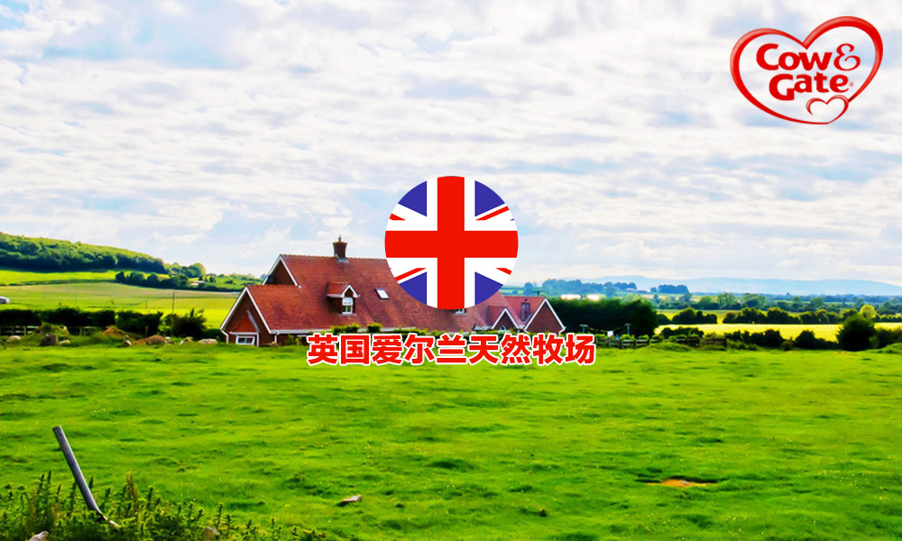 爱他美奶粉要选哪个版最好的,爱他美奶粉德版和澳版哪个好