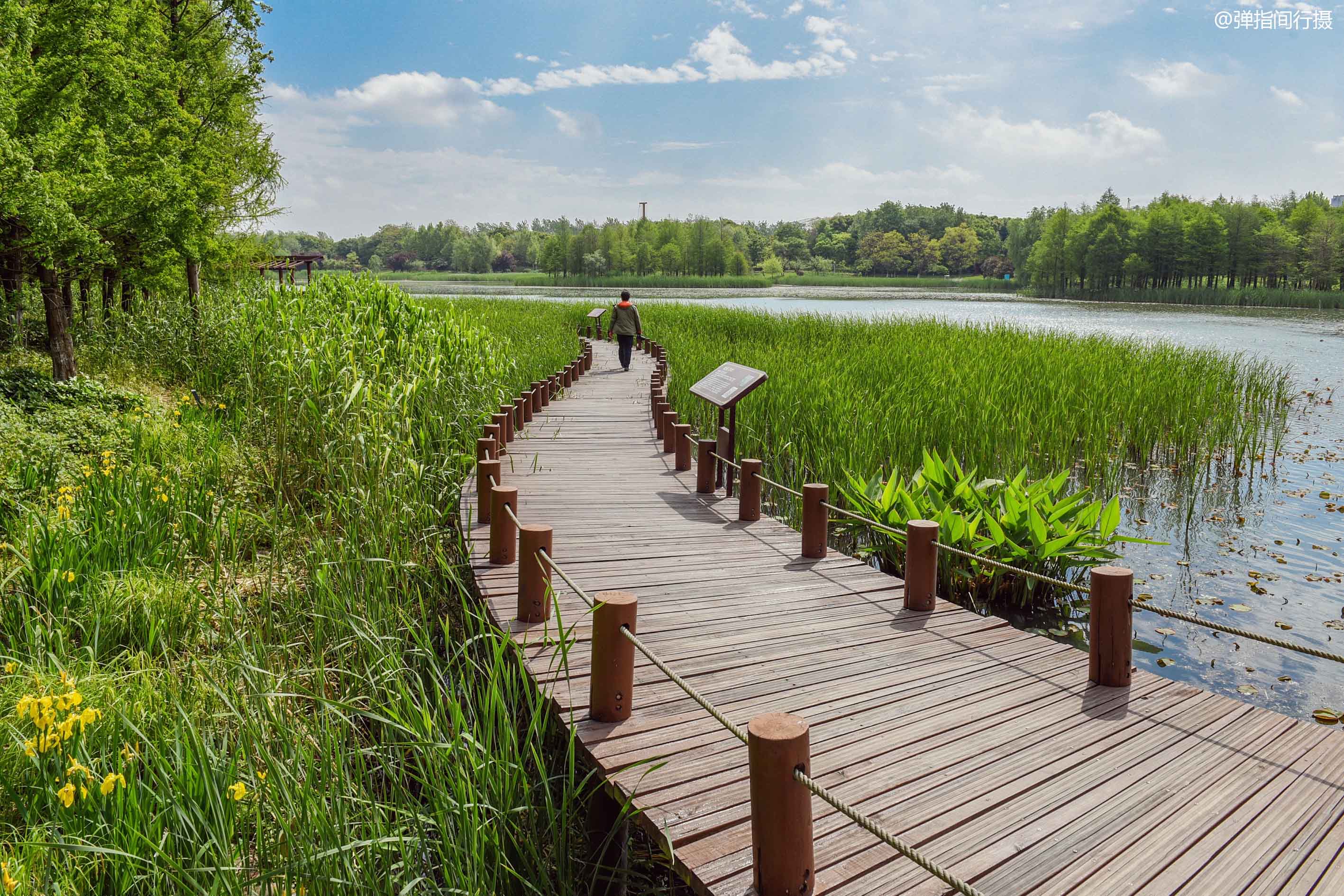苏州太湖国家湿地公园值得去吗,苏州太湖湿地公园秘境