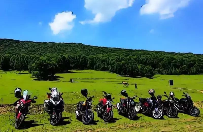 字节跳动的lark属于哪个部门,关于字节跳动的群名