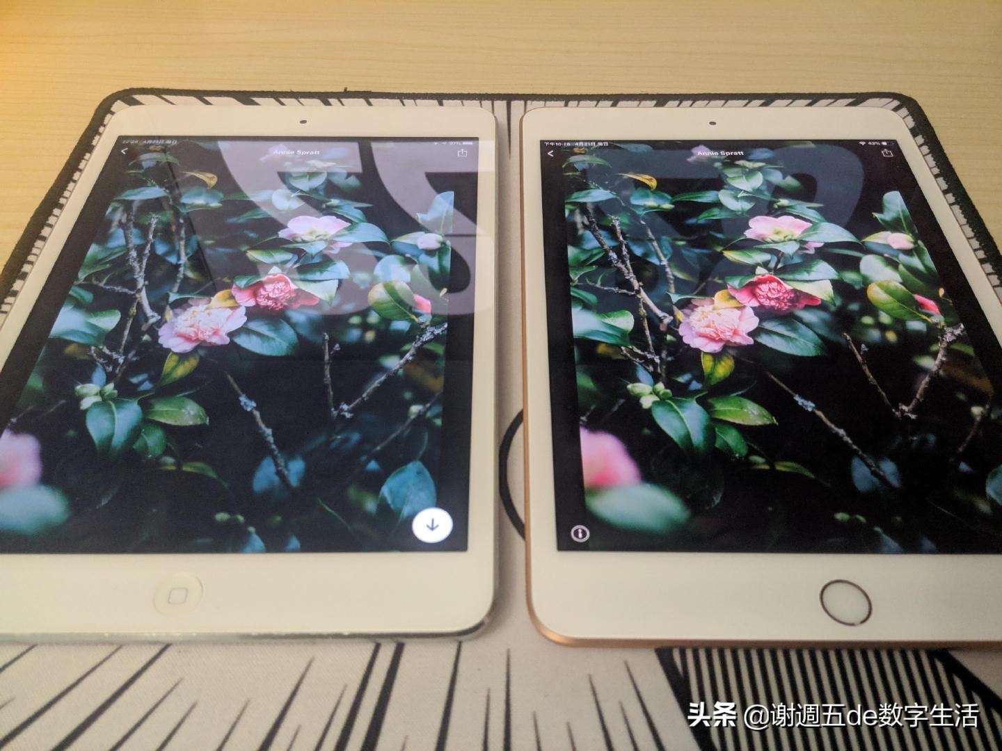 ipad迷你5最新,ipadmini5基本信息