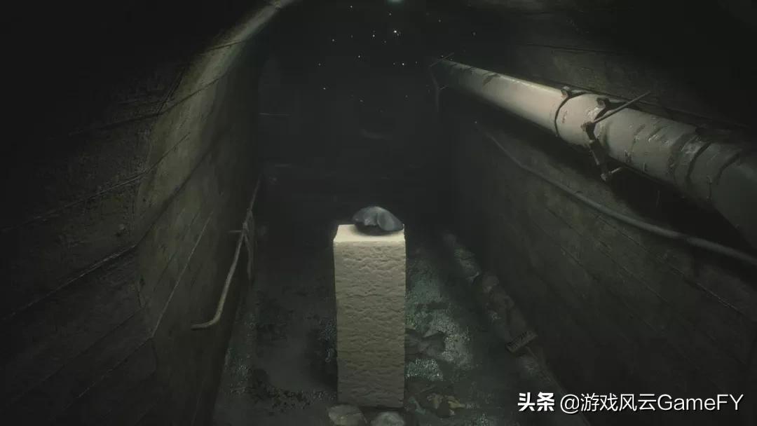 生化危机豆腐是什么来历,生化危机2真实细节