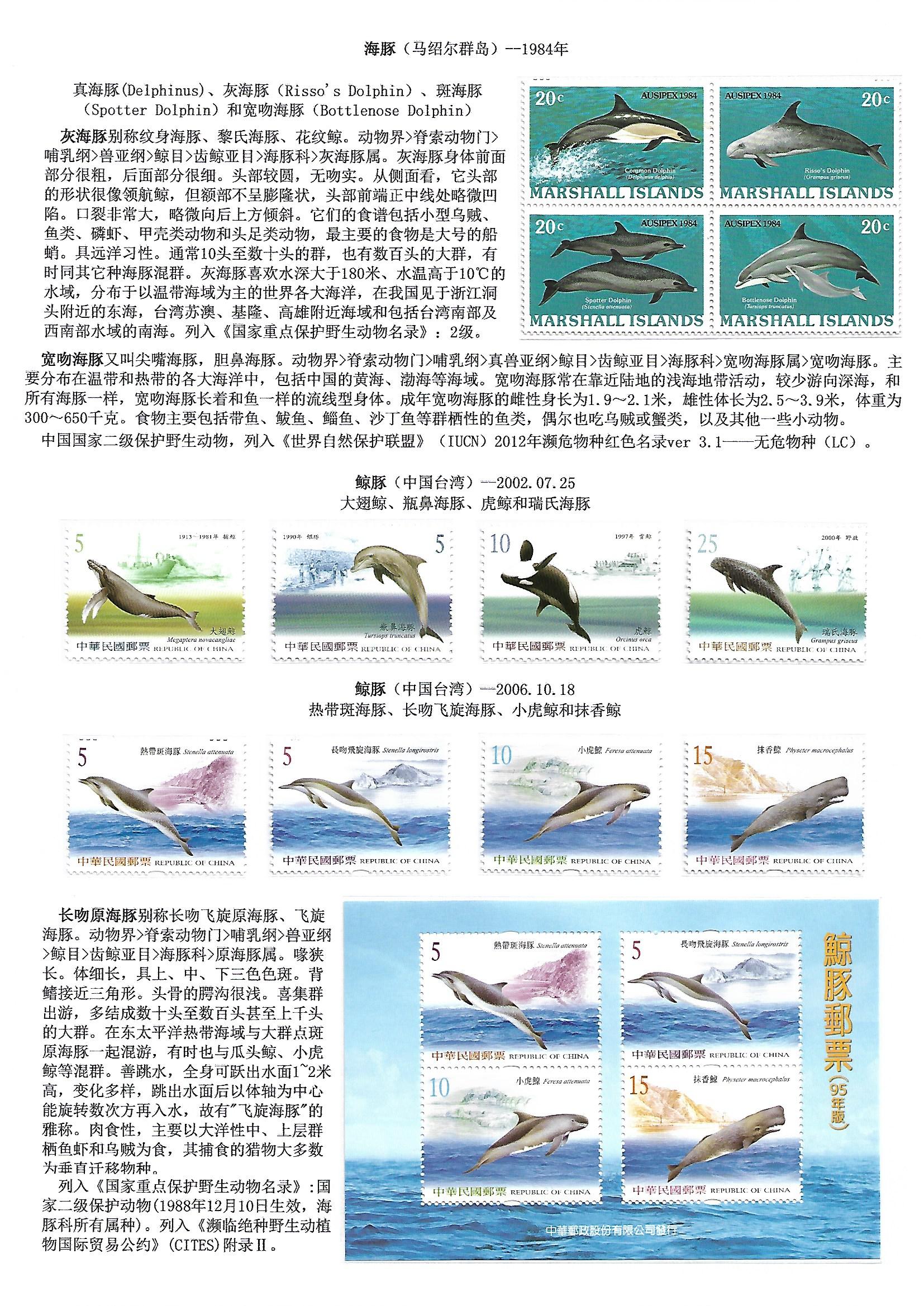 鲸和鲨（WhaleShake）