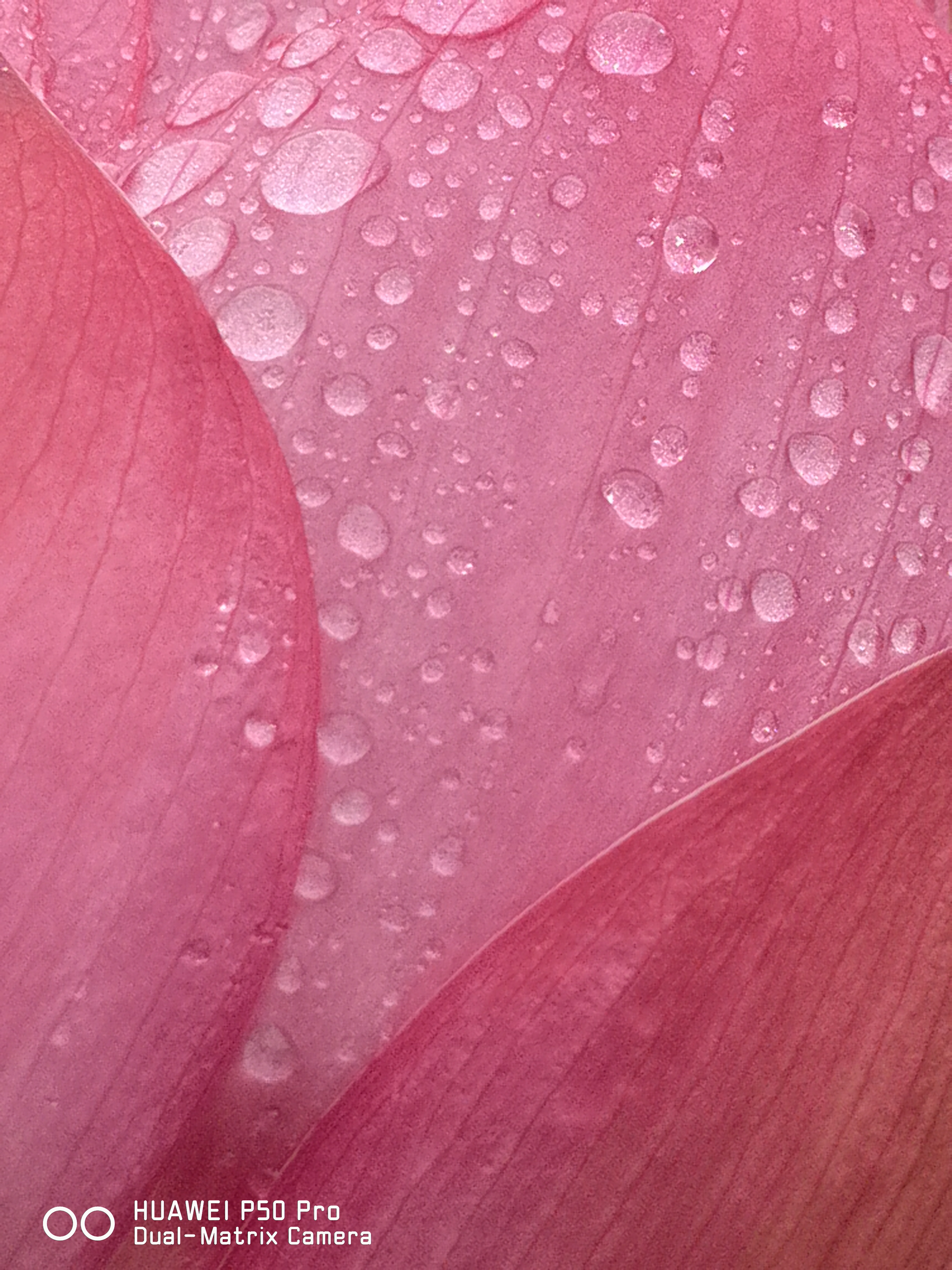 华为p50pro实测,华为p50pro变焦测试