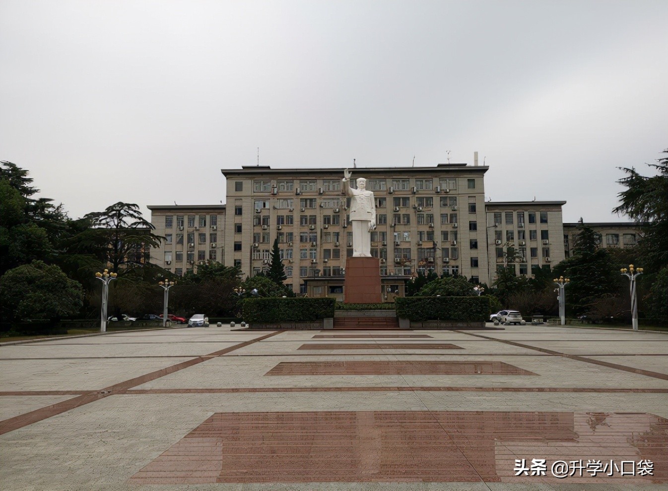 华中科技大学本科各专业升学数据出炉，这4个专业，升学率达80%