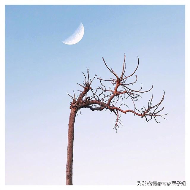 情感咨询栗子姐,每日情感问答栗子姐