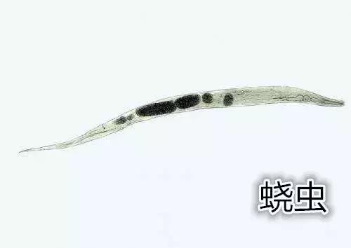 宝宝屁股痒如何止痒快,宝宝屁股痒止痒的方法