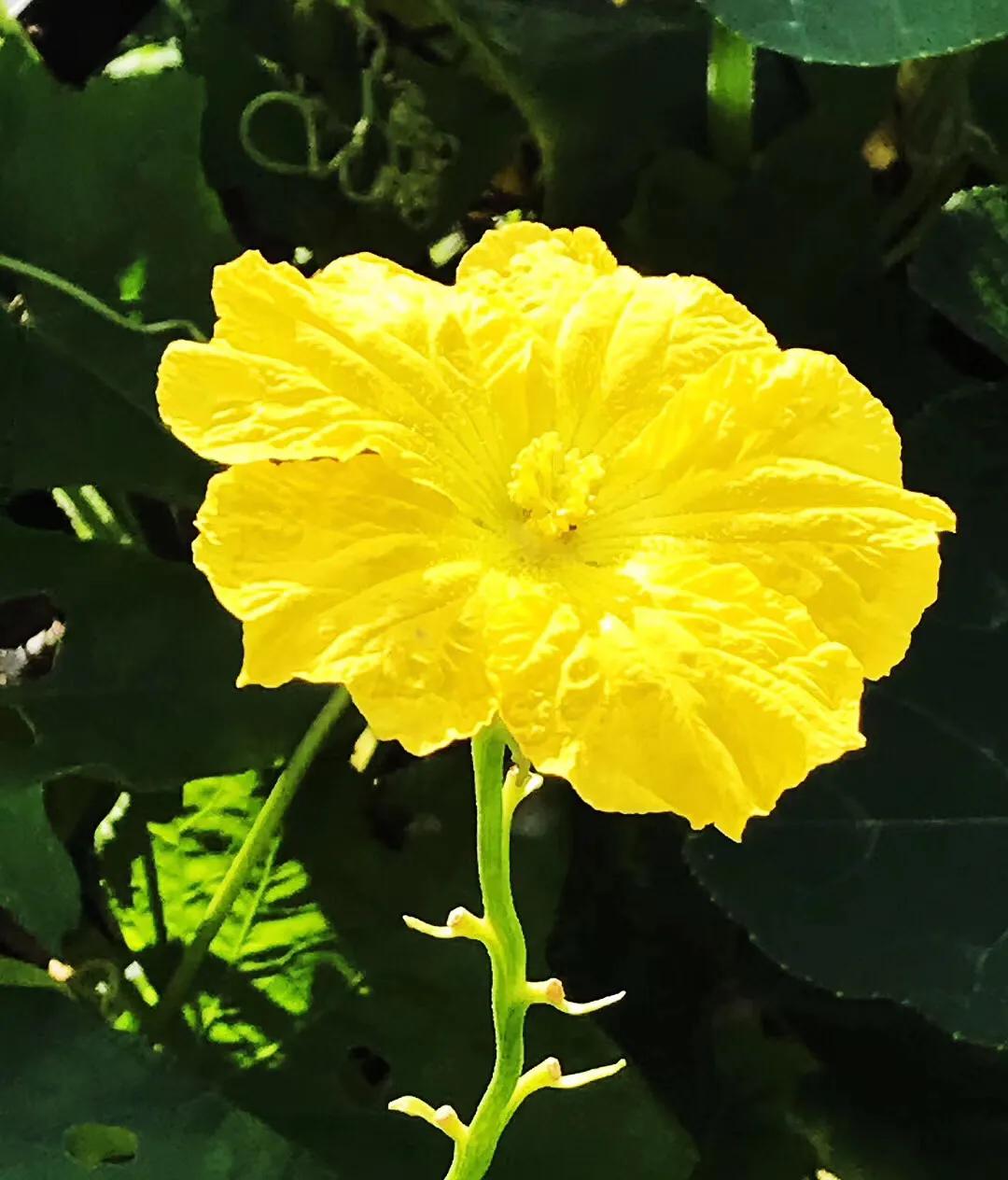 闺蜜夜谈文案,闺蜜夜谈