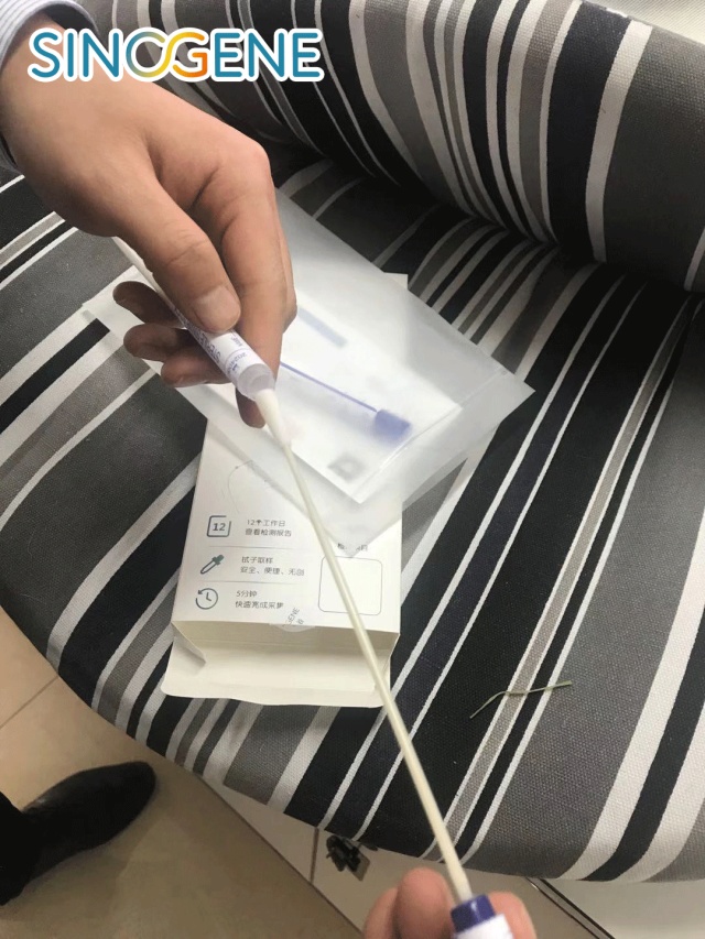 如何自己给猫咪做基因检测,猫能做基因检测吗