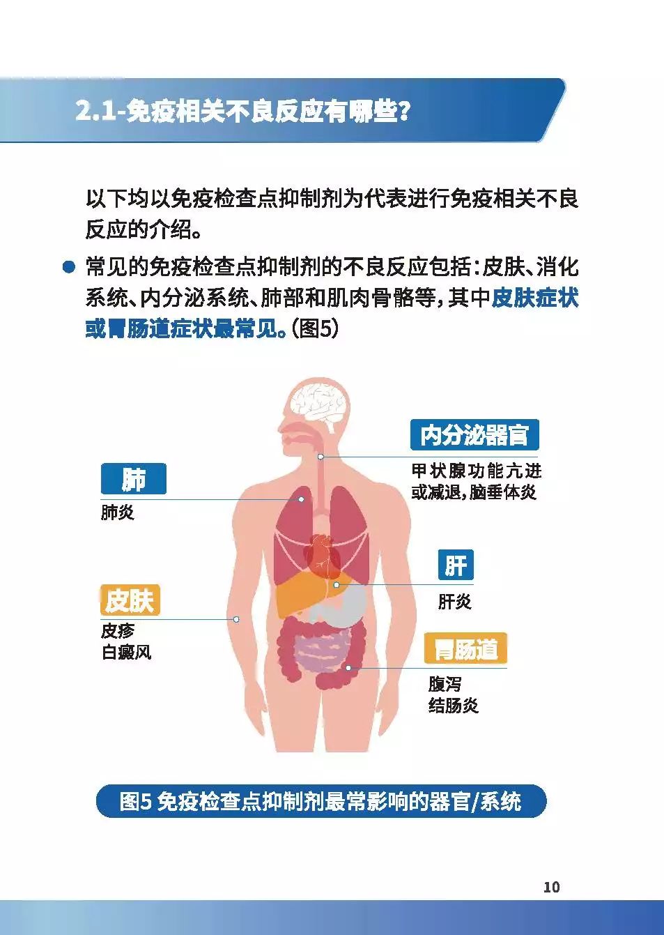 科普肿瘤免疫治疗那些事,免疫治疗健康宣教