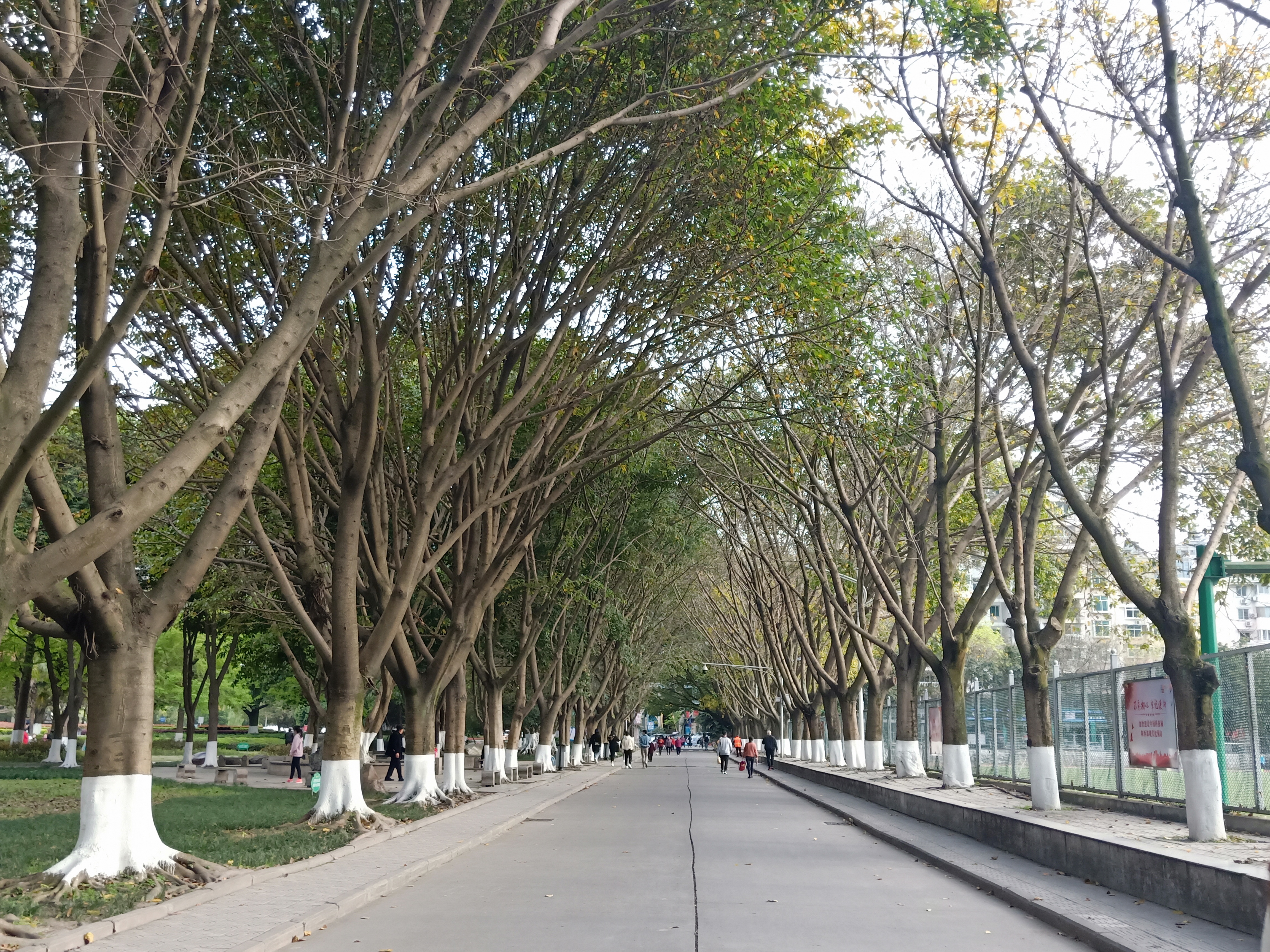 四川绵阳五一广场，一个让人流连忘返的地方