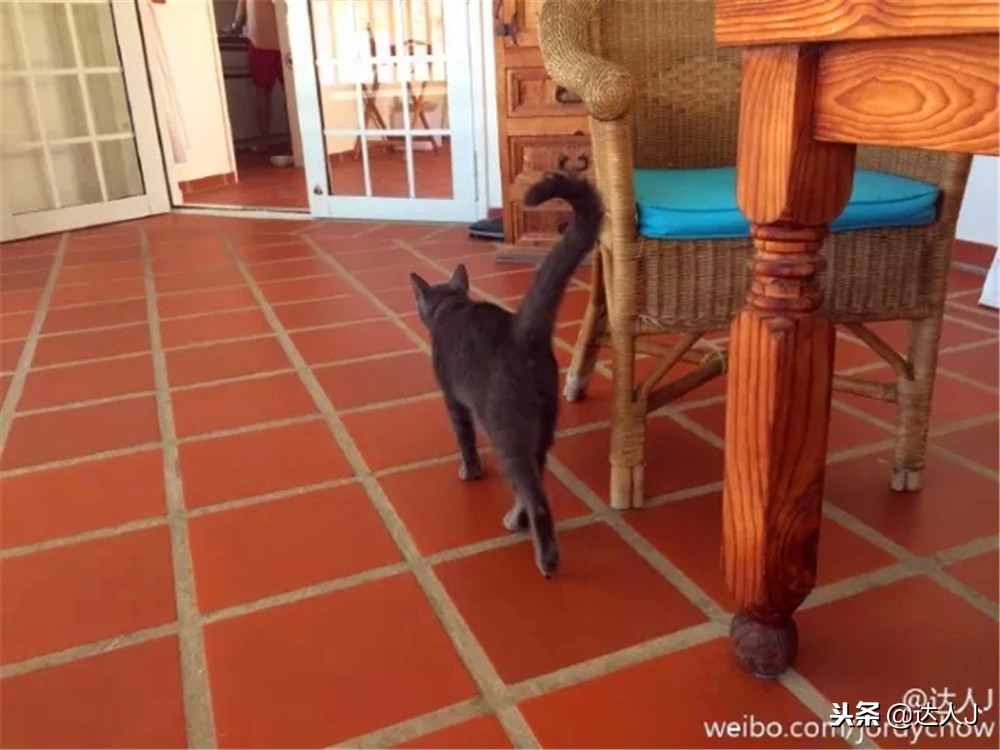 全国10大特色酒店,全国十大最具特色酒店