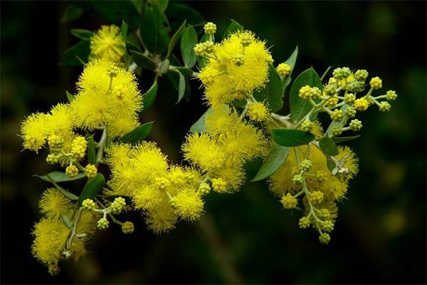 藏起所有球衣真相的背后,藏在足球里的秘密