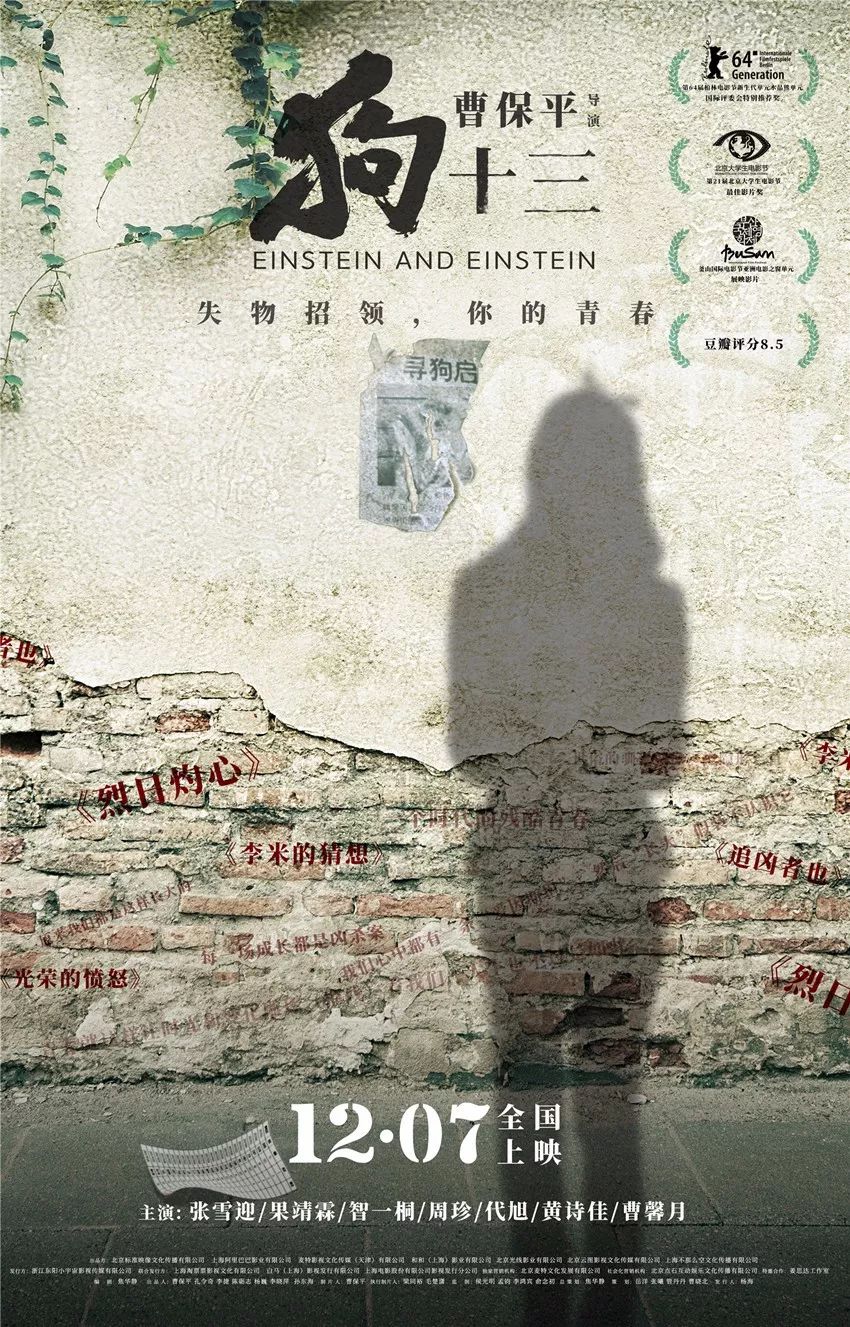 豆瓣评分最高的华语电影是哪一部 (2018年好看的台湾电影)