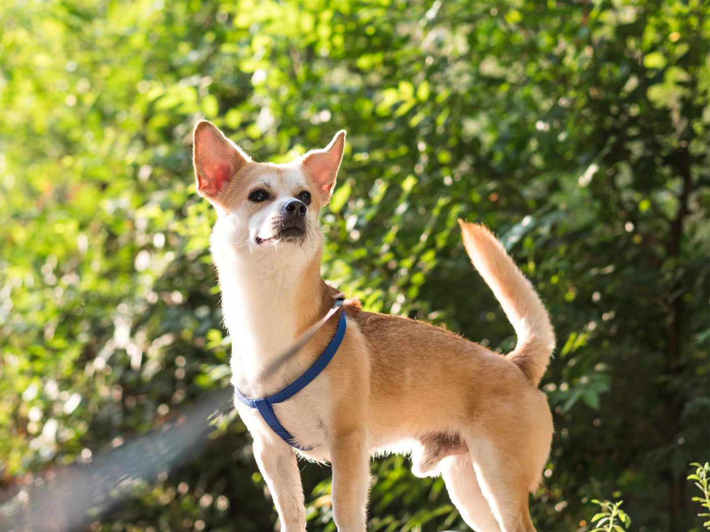 松下G9,到底值不值得买?这里就有你要的答案......