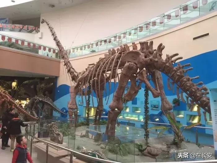 西安周边亲子游玩好去处推荐,西安儿童游乐去处推荐