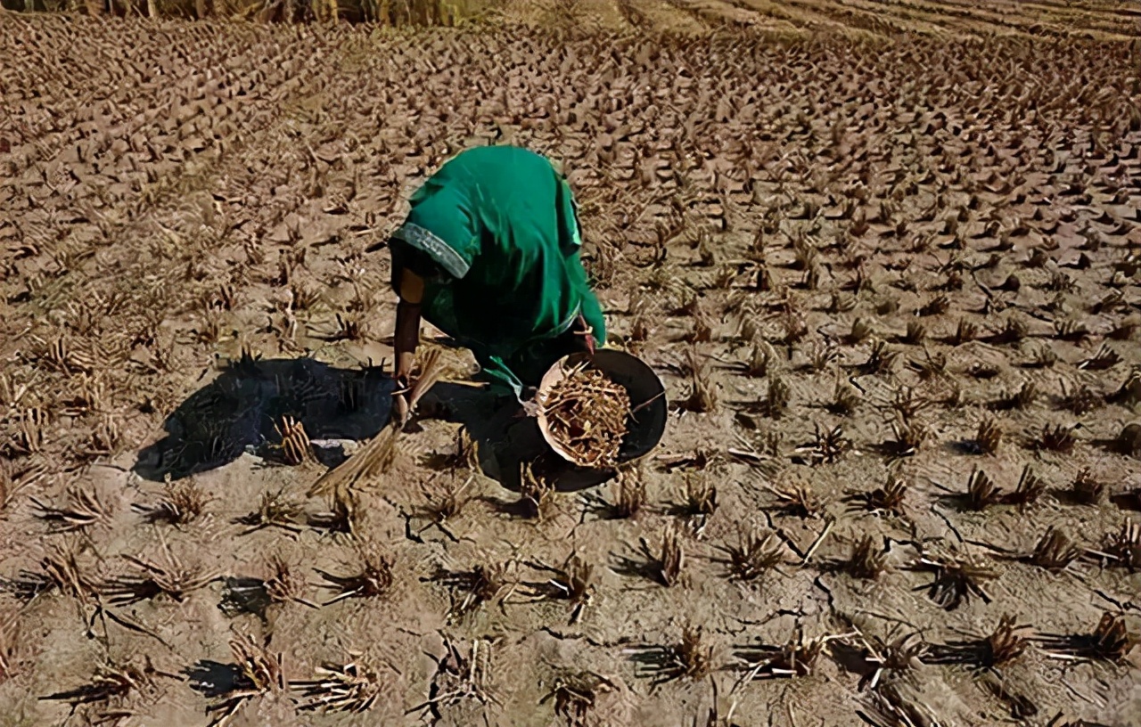 美国大放水，哪几个国家遭了殃？我们也要做好准备