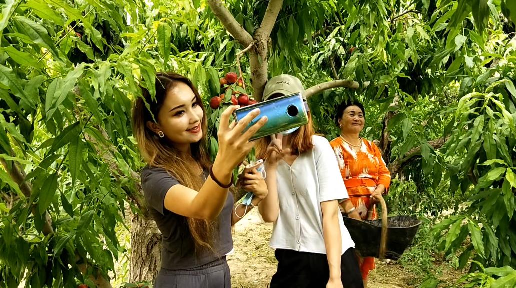 向党说说心里话微视频,向党说说心里话素材