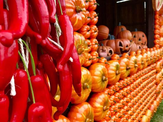 来义乌十几年没发现景色这么美,义乌值得去的自然景点