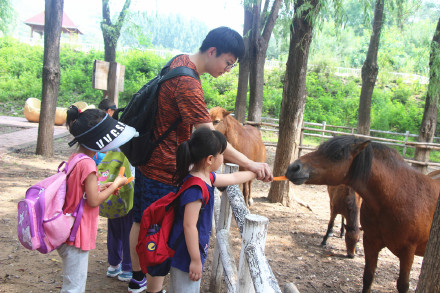 喂萌宠，捡鸡蛋，大自然里快乐多，精诚文化学校暑期班走进大自然