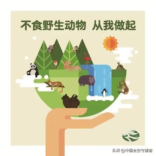 40种野生动物是哪些不能吃的,能吃的野生动物有哪些