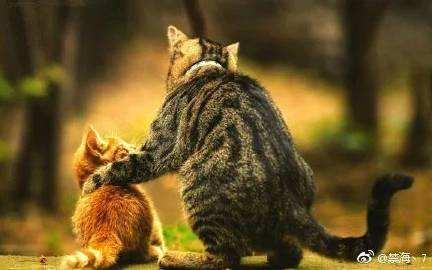 恋人患上抑郁症总是以死要挟，我该如何做才是帮她？