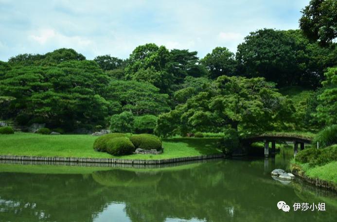不看樱花能不能进武大,看樱花不一定要去日本的说说