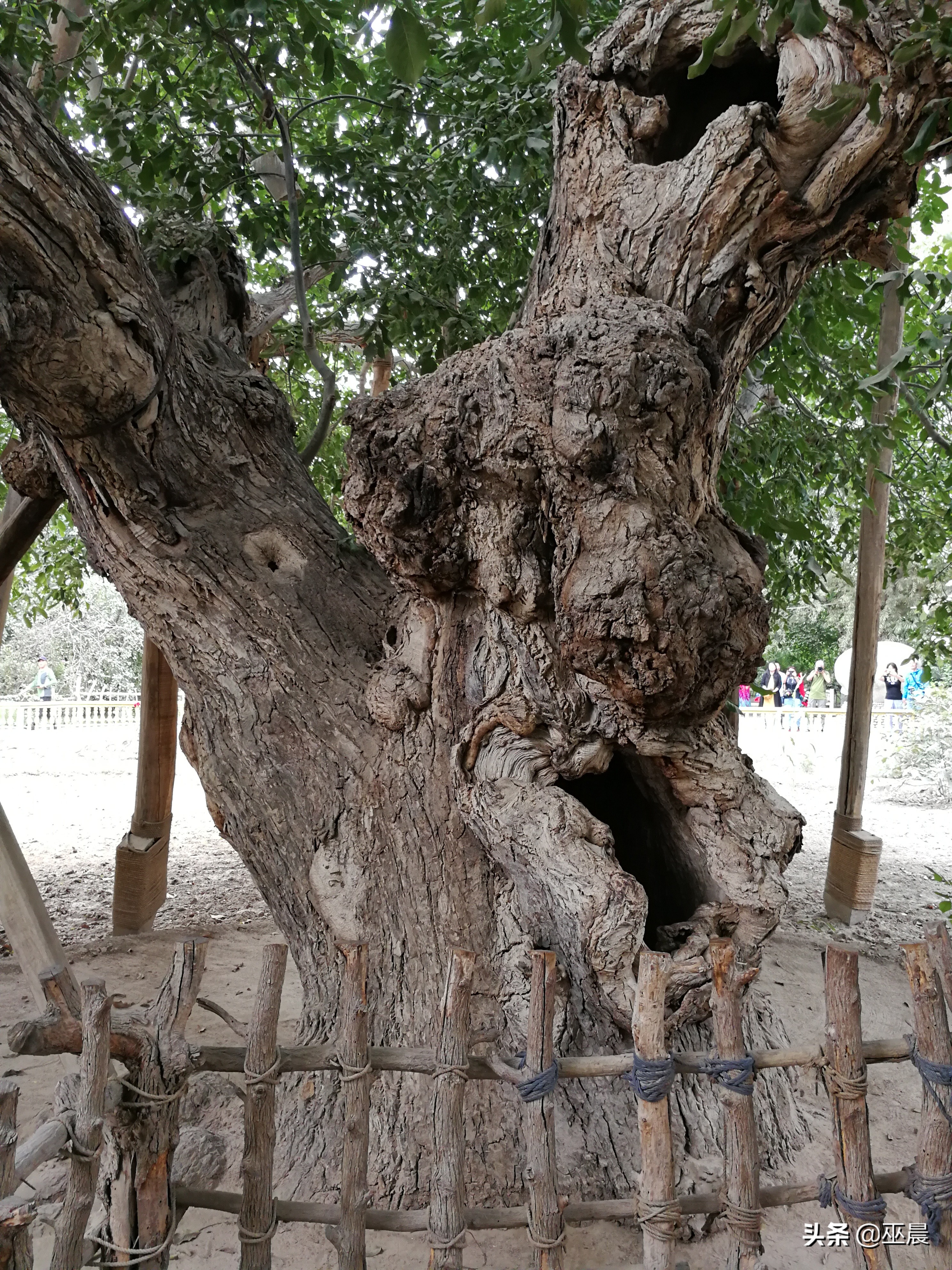 南疆北疆大环线15天旅行攻略,南北疆深度游北疆进入南疆